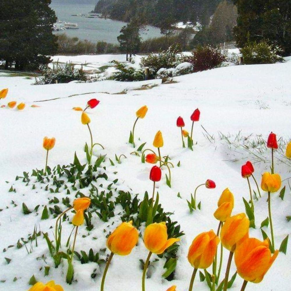 Meet your Posher, Tabitha